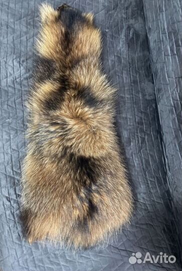 Шкура енота