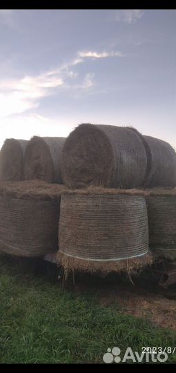 Сено в рулонах и тюках
