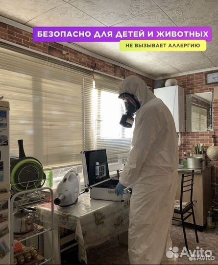 Уничтожение клопов травить тараканов дезинсекция