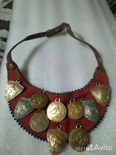 Медали и жетоны собаководства СССР