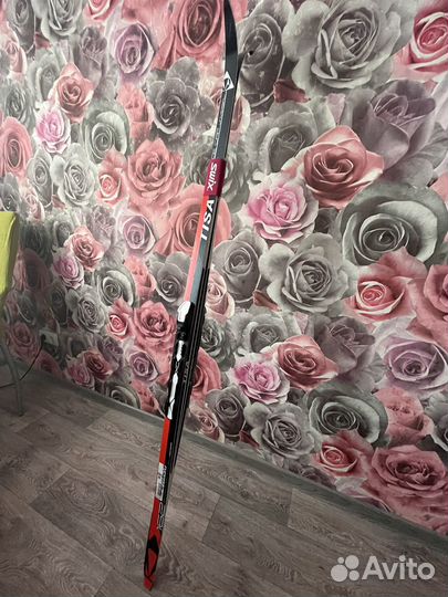 Лыжи беговые tisa universal