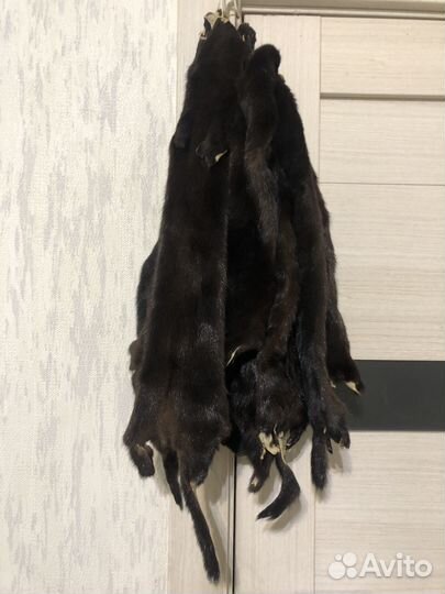 Шкурки Норка Натуральная Мех Горжетка Заводская вы