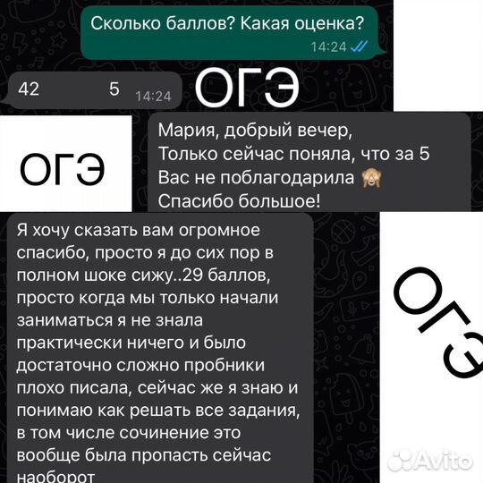 Репетитор по русскому языку и литературе