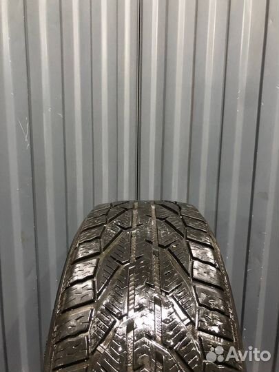 Tigar Winter 215/50 R17 95V