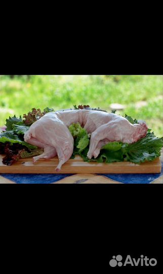 Продам мясо кролика