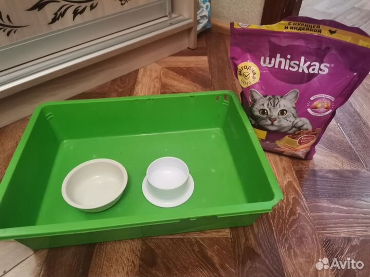 Лоток, корм, тарелки