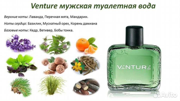 Мужские туалетные воды Oriflame eclat, venture