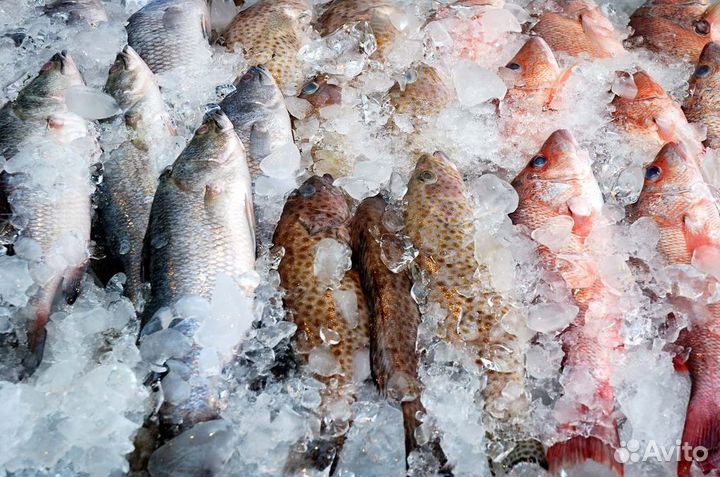 В продаже готовый бизнес – магазин рыбы