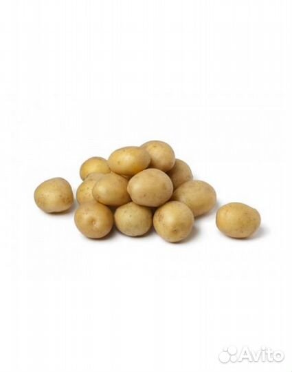 Домашний погребок