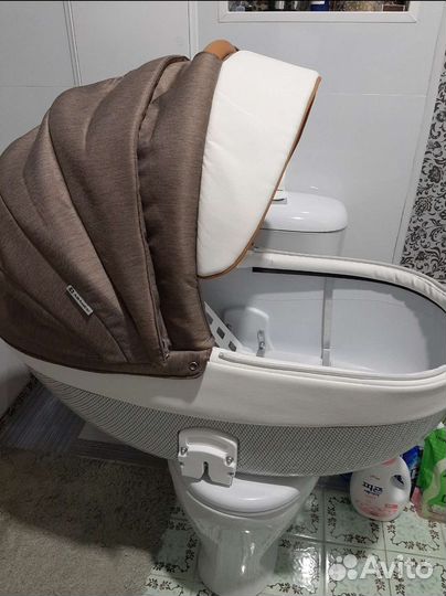 Коляска Adamex Monte carbon 2 в 1 - D34