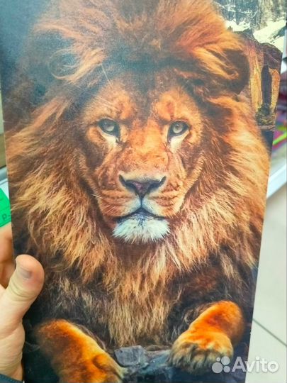 Нарды лев 40х40