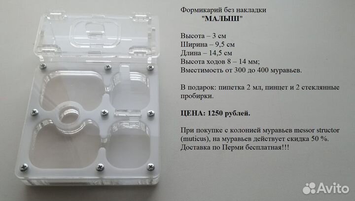 Формикарий, муравьиный дом