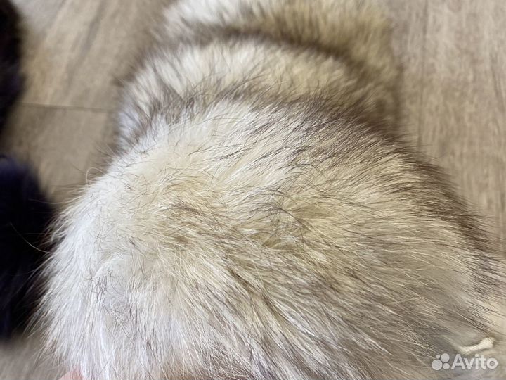 Мех натуральный белый фиолетовый