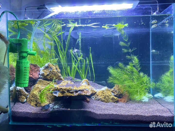 Аквариум