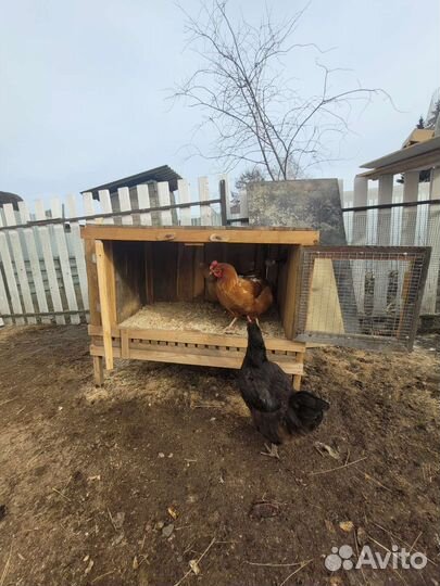 Брудер для цыплят, клетка для кроликов