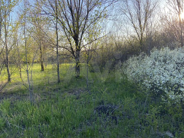 Участок 8 сот. (СНТ, ДНП)