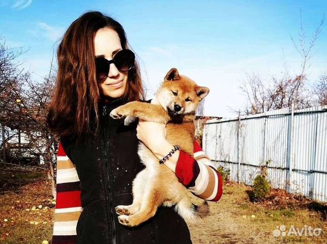 Передержка