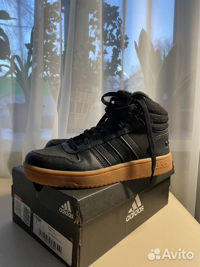 Кроссовки adidas hoops 2.0 зимние