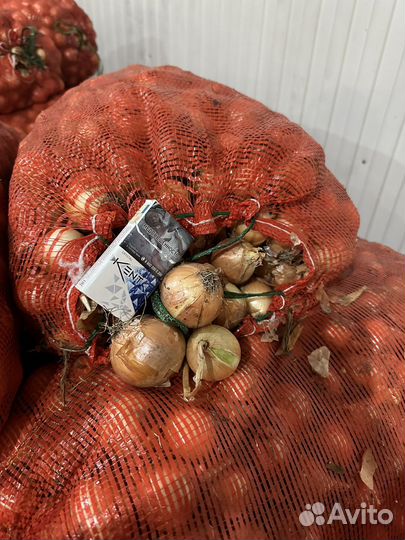 Картофель молодой, лук, морковь,свекла,капуста