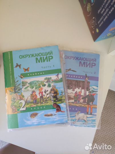 Окружающий мир 2 класс плешаков