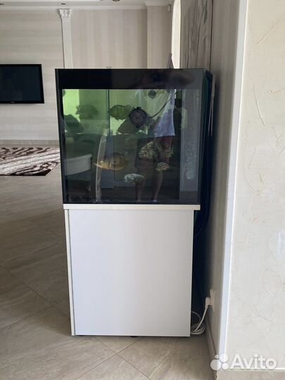 Аквариум с тумбой