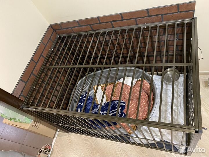 Клетка для животных