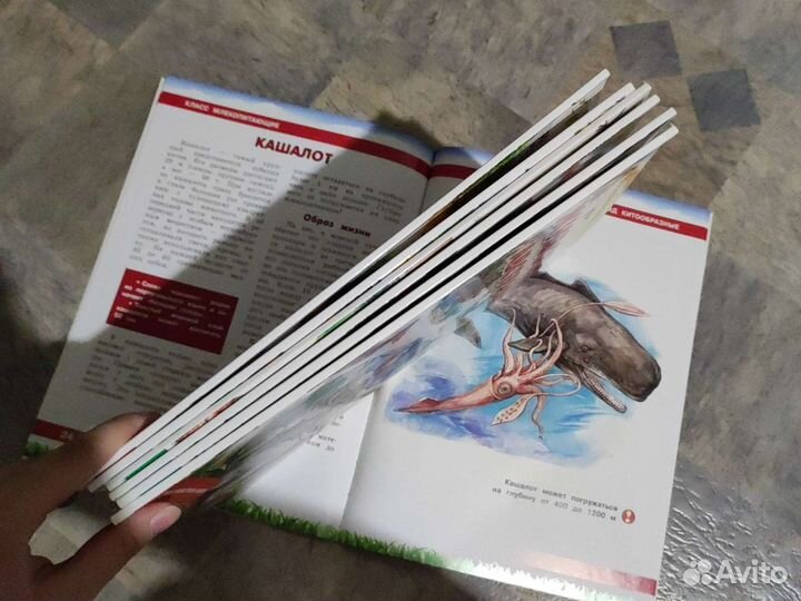 Энциклопедии детские