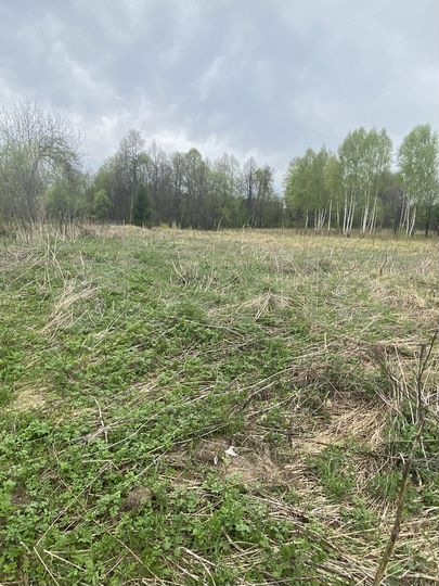 Участок 25 сот. (ИЖС)