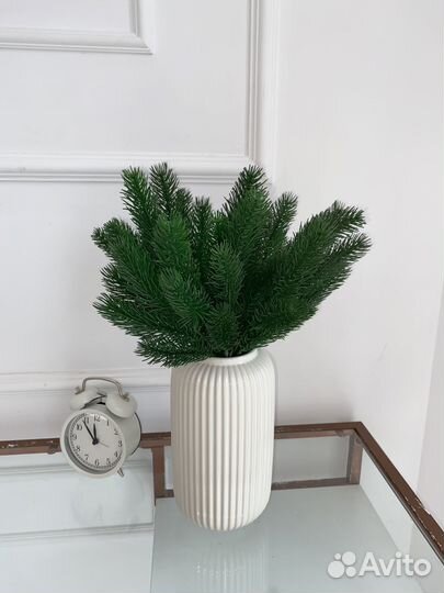 Еловые ветки, еловые лапки зеленой ели