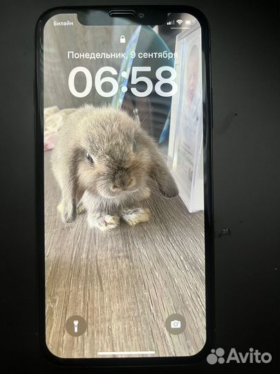 iPhone Xs, 64 ГБ