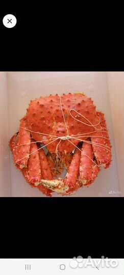 Краб Камчатский Подарочный