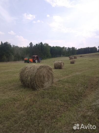 Продам сено в рулонах