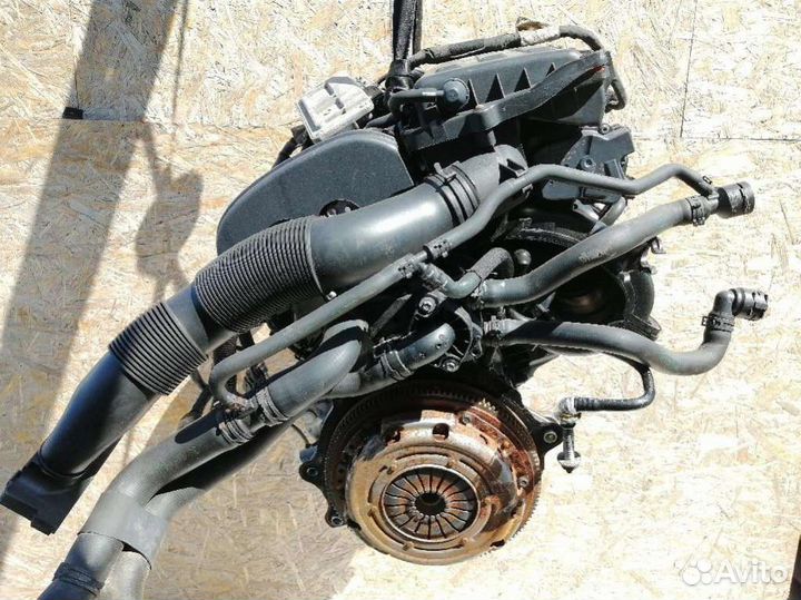 Двигатель Volkswagen Golf 5 (2003 - 2009) 1.4 BUD