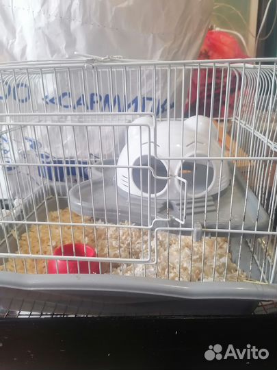 Клетка для грызунов