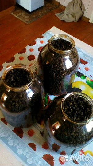 Иван-чай кипрей (копорский)