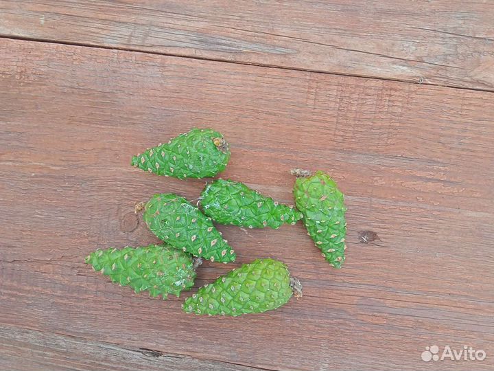 Эфирные масла, гидролат, шишка сосны