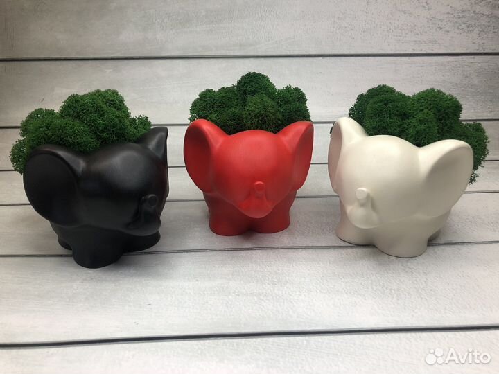 Кашпо Слон со мхом. Декор для дома и офиса