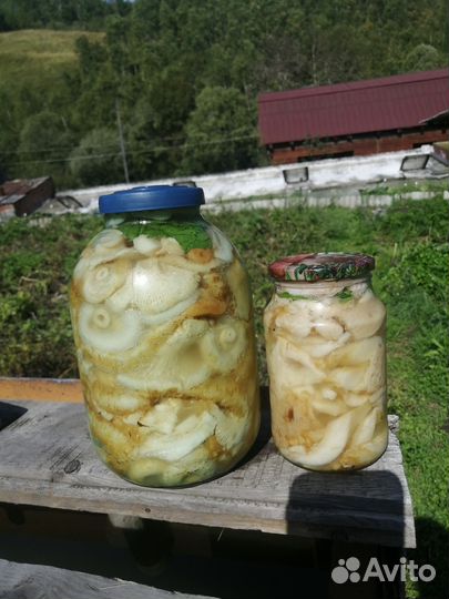 Грузди солёные 800р