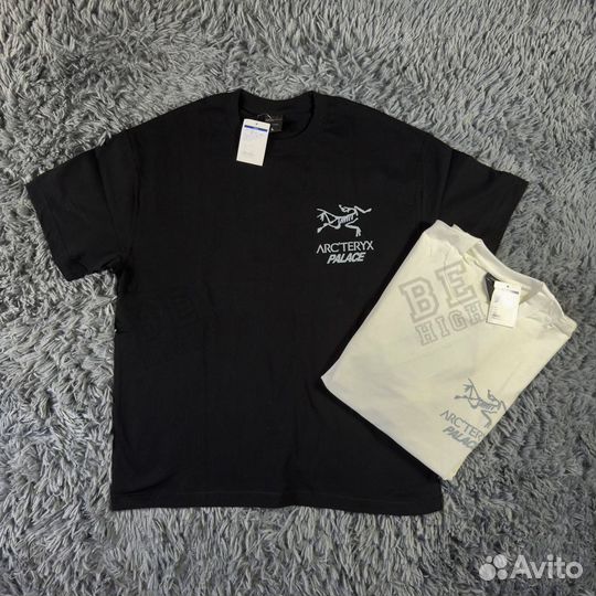 Arcteryx x palace футболка big logo