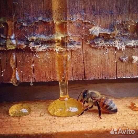 Свежий цветочный в банках по 3 литра