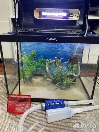 Аквариум