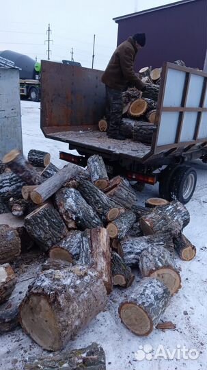 Дрова тополя с доставкой