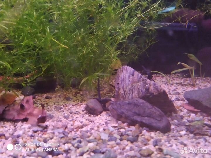 Аквариум / террариум на заказ