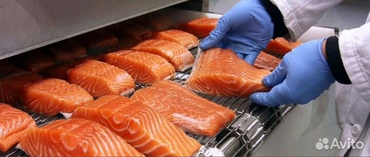 Обработка красной рыбы (Вахта)