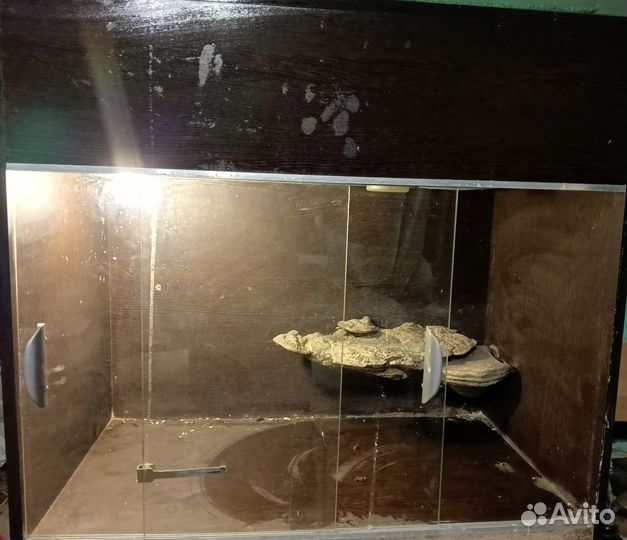 Террариум для рептилий бу