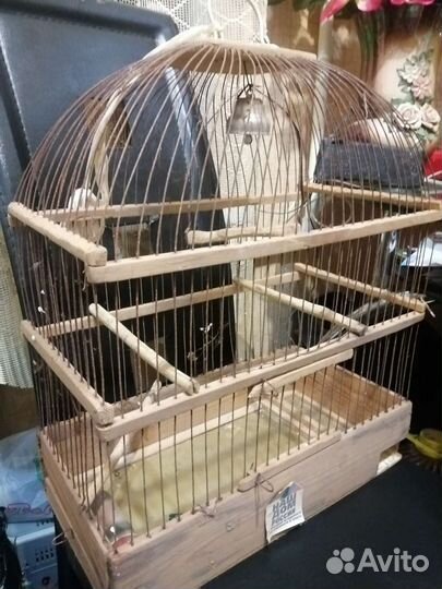 Клетка для животных