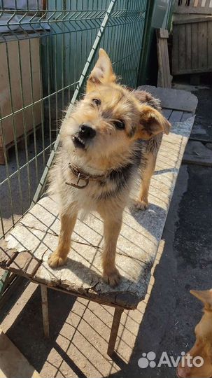 Звоночек в частный дом