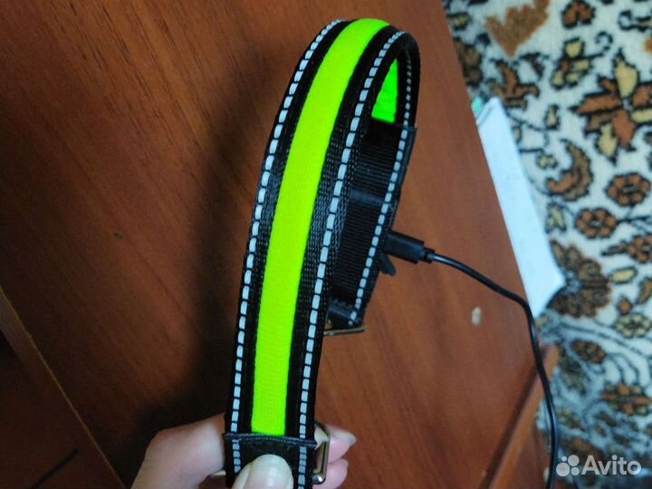 Ошейник для собак