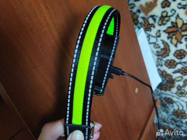 Ошейник для собак