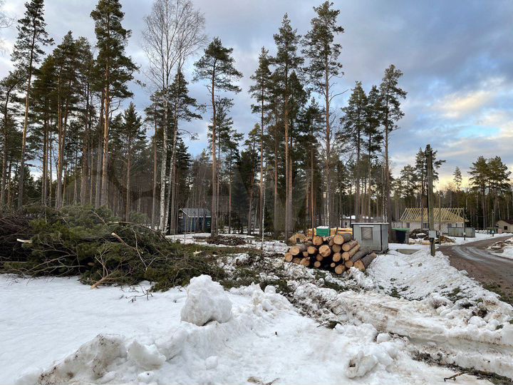 Участок 19,9 сот. (СНТ, ДНП)